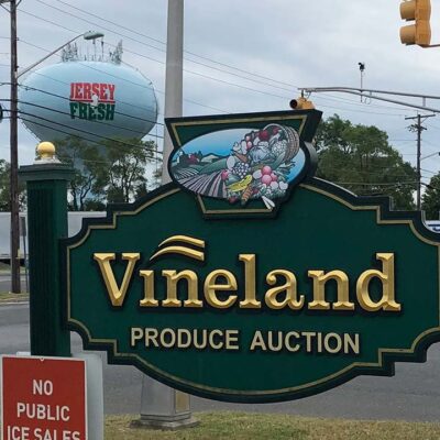 Thumbnail Gallery Image 5